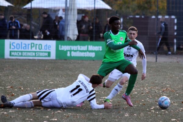 2025_11_02_budberg-esc06_10