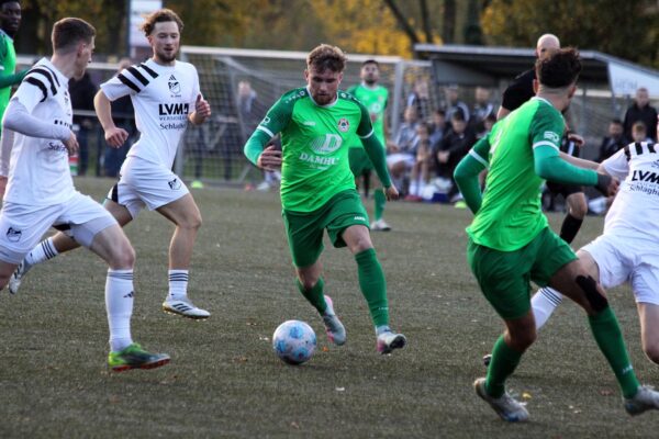 2025_11_02_budberg-esc06_11