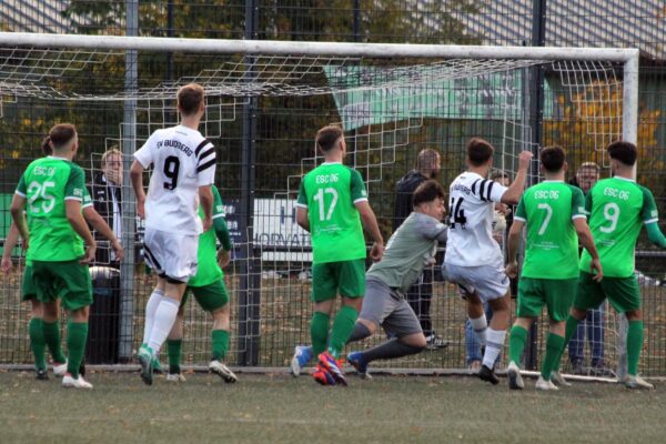 2025_11_02_budberg-esc06_19