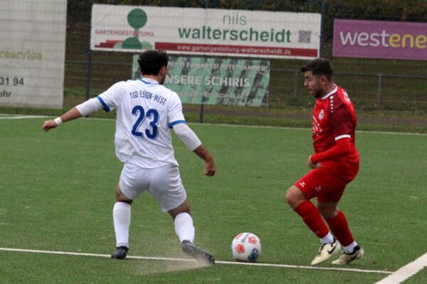 2025_11_09_esc06II-tgd_03