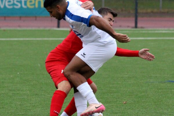 2025_11_09_esc06II-tgd_11