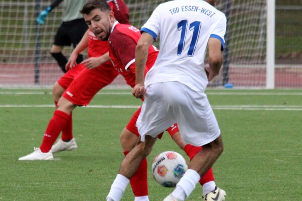 2025_11_09_esc06II-tgd_13