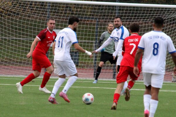 2025_11_09_esc06II-tgd_15