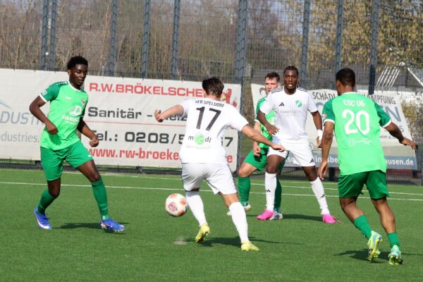 2026_03_22_speldorf-esc06_12