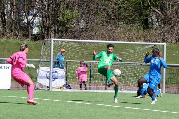 2026_03_29_esc06-sge_01