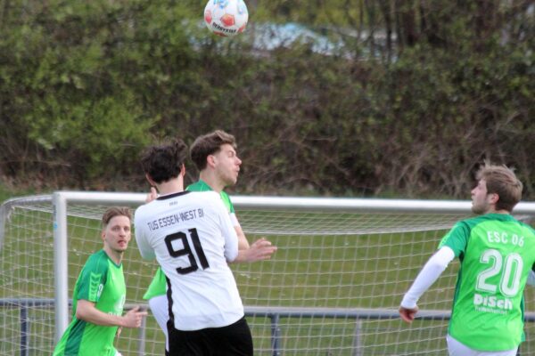 2026_03_29_esc06II-1881_04