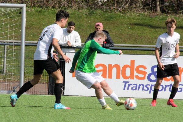 2026_03_29_esc06II-1881_14