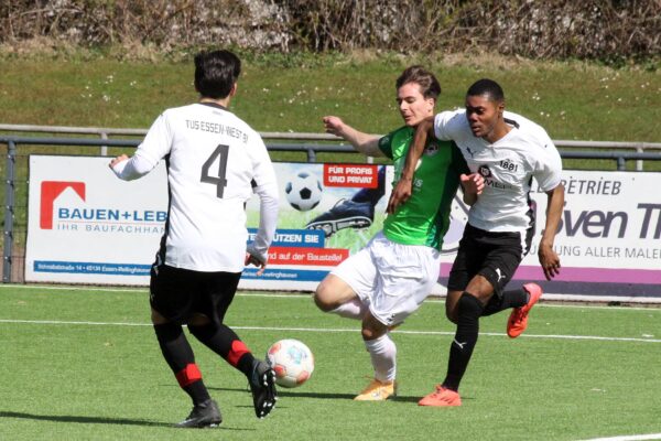 2026_03_29_esc06II-1881_15