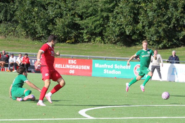 2026_09_20_esc06-eller_04